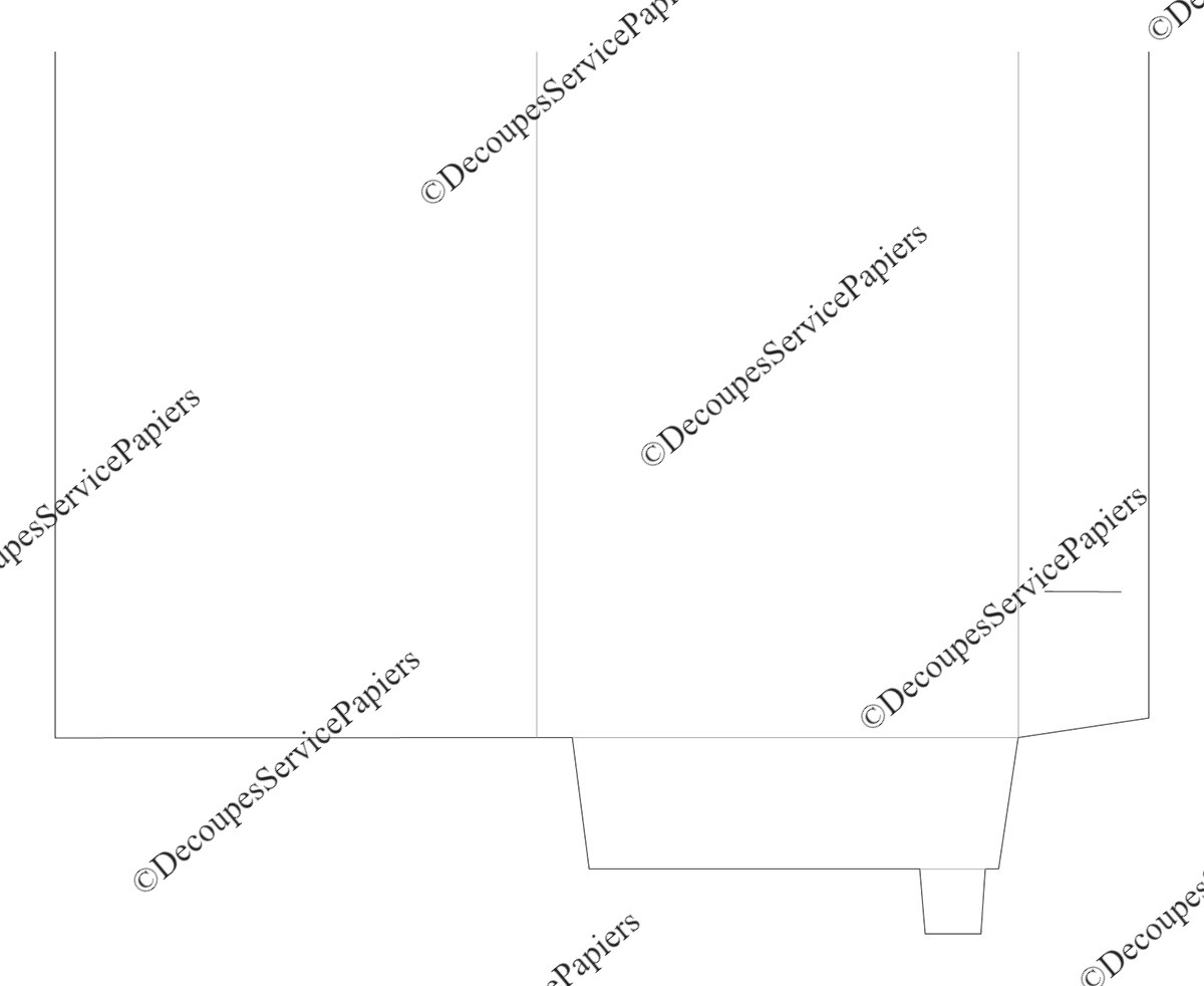 CHEMISE F 220 X 313 O 500 X 370.jpeg